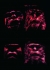 Mutazioni temporali, 1995